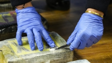 Veinticinco detenidos de una red por hacer hasta 30 kg de cocaína al día en Valencia