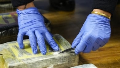Veinticinco detenidos de una red por hacer hasta 30 kg de cocaína al día en Valencia