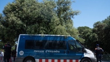 Cae una red de suministro de drogas con hasta 6 detenidos en Lleida