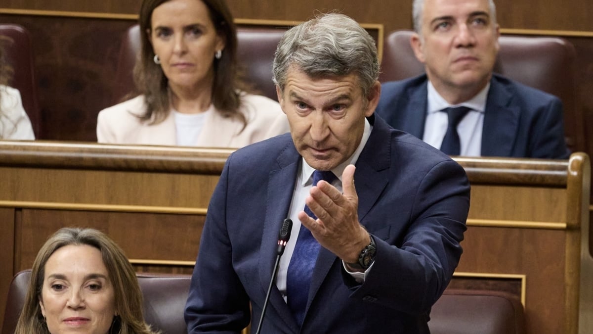El presidente del PP, Alberto Núñez Feijóo, interviene durante una sesión de control al Gobierno, en el Congreso de los Diputado.