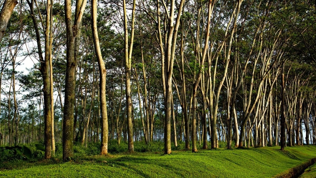 La Unión Europea fomenta esta unión entre la naturaleza y lo humano