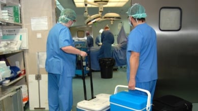 Qué órganos y tejidos se pueden donar en vida y después de fallecer