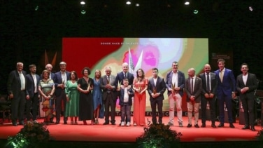 Garrigós, Andrés, Del Bosque, Martínez de Irujo, Rodri Almazán y Flyback,'Premios Espiga del Deporte'