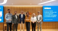 Un innovador proyecto de tecnología fotovoltaica gana el III Premio Fundación Naturgy-CSIC por su alto potencial disruptivo