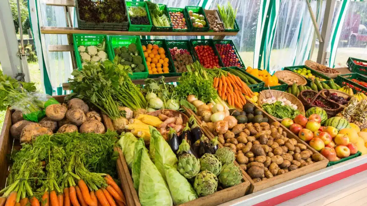 Greenpeace impulsa un modelo sostenible de producción y dieta alimentaria