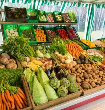 Greenpeace impulsa un modelo sostenible de producción y dieta alimentaria