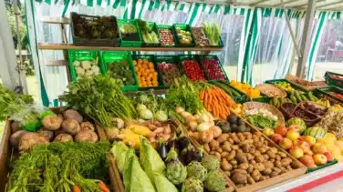 Greenpeace impulsa un modelo sostenible de producción y dieta alimentaria