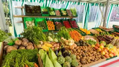Greenpeace impulsa un modelo sostenible de producción y dieta alimentaria