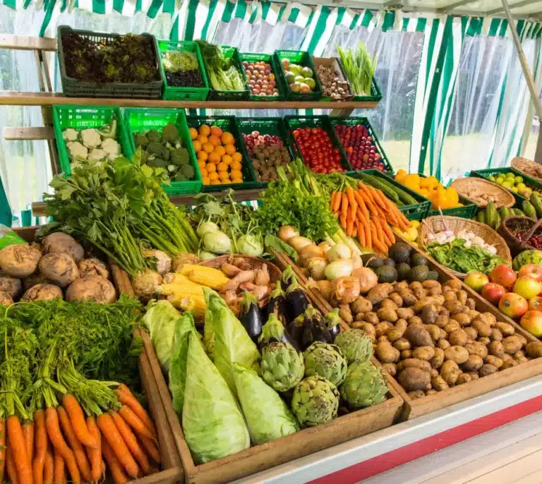 Greenpeace impulsa un modelo sostenible de producción y dieta alimentaria