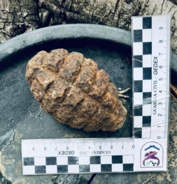 Desactivan una granada de la Guerra Civil hallada en finca de Puebla [...]