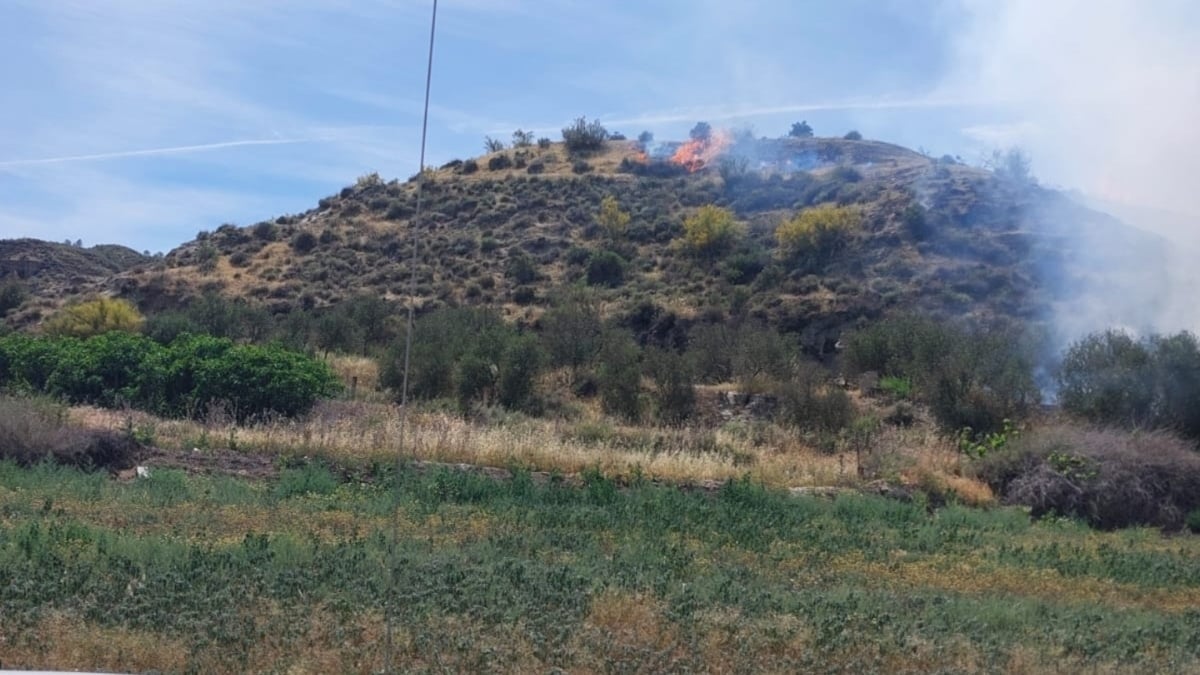 Infoca combate un incendio declarado en el entorno de Fonelas, Granada