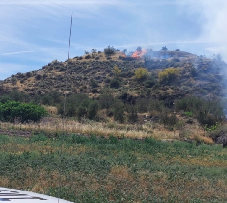 Infoca combate un incendio declarado en el entorno de Fonelas, Granada