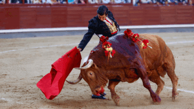 Morante abre la Puerta Grande de Las Ventas en la corrida de Beneficencia