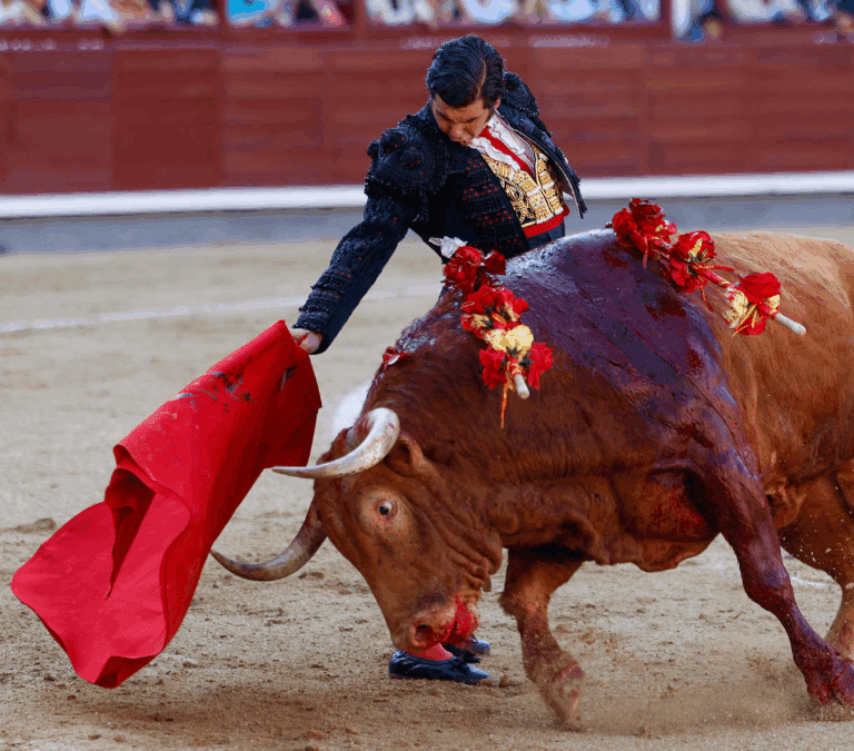 Morante abre la Puerta Grande de Las Ventas en la corrida de Beneficencia