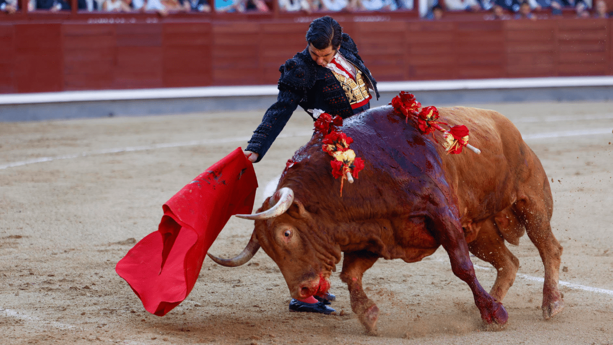 MADRID, 08/06/2025.- El diestro Morante de la Puebla en la faena a su primer astado durante la Corrida de la Beneficencia, broche de oro a la temporada de San Isidro, que se celebra este domingo en la Monumental de Las Ventas, en Madrid, con toros de Juan Pedro Domecq para los diestros Morante de la Puebla, Borja Jiménez y Fernando Adrián. EFE/Juanjo Martín