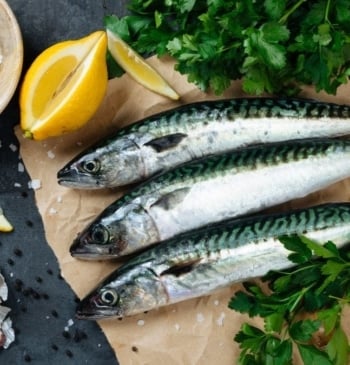 Por qué es tan importante el pescado azul en una dieta cotidiana