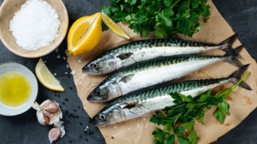 Por qué es tan importante el pescado azul en una dieta cotidiana