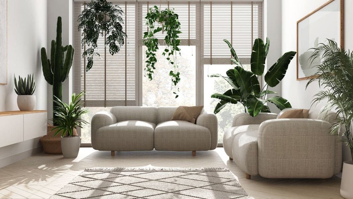 Plantas interior