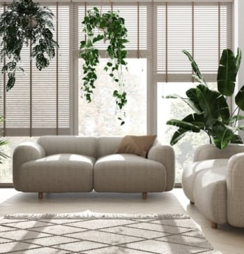 Las mejores plantas de interior para purificar el aire en verano