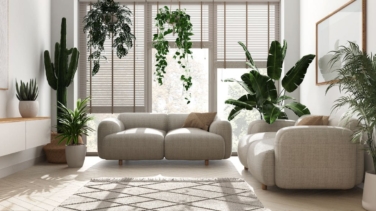 Las mejores plantas de interior para purificar el aire en verano