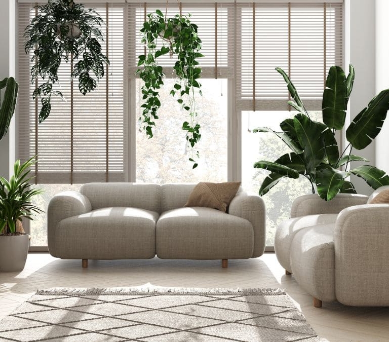 Las mejores plantas de interior para purificar el aire en verano