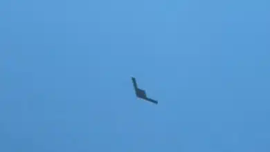 El “fantasma” del Negev, el dron secreto de Israel