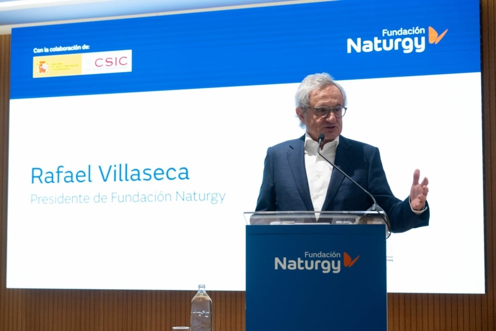 Rafael Villaseca, presidente de Fundación Naturgy