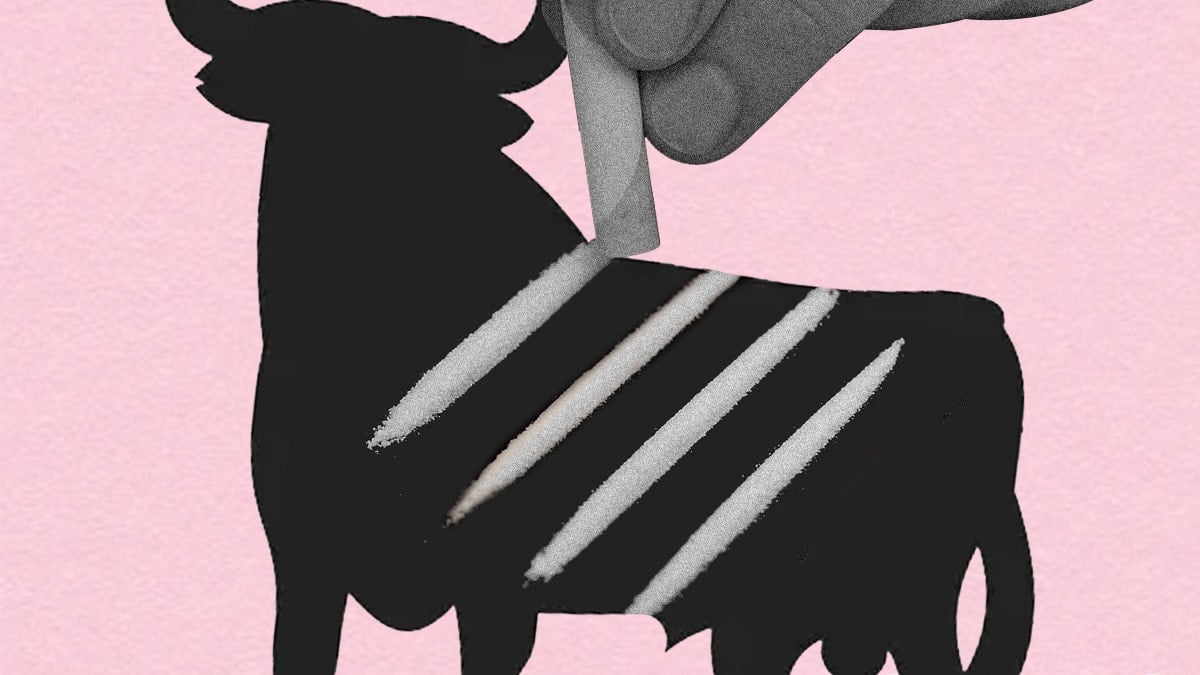 Cocaína, el 'placer adulto' de los españoles del que nadie quiere hablar