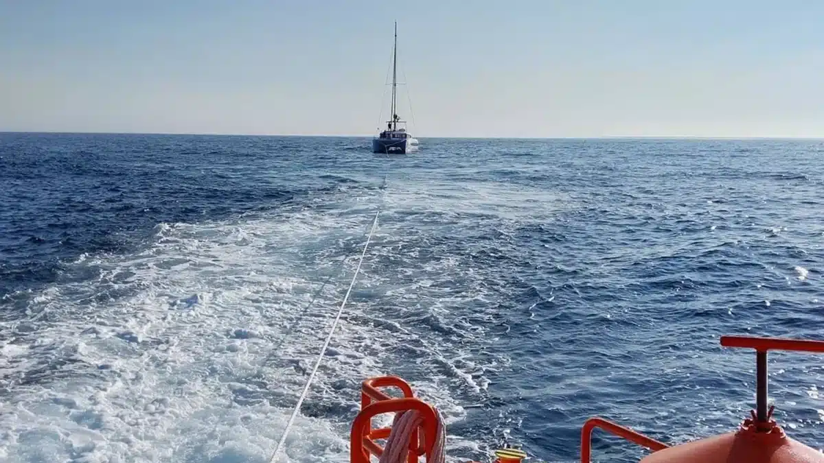 Remolcan a puerto un catamarán tras un incidente con orcas en Barbate
