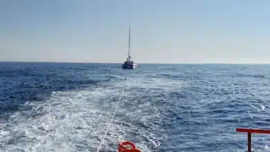 Remolcan a puerto un catamarán tras un incidente con orcas en Barbate