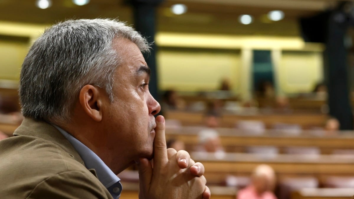 El diputado socialista Santos Cerdán, durante la sesión de control al Ejecutivo este miércoles en el Congreso.