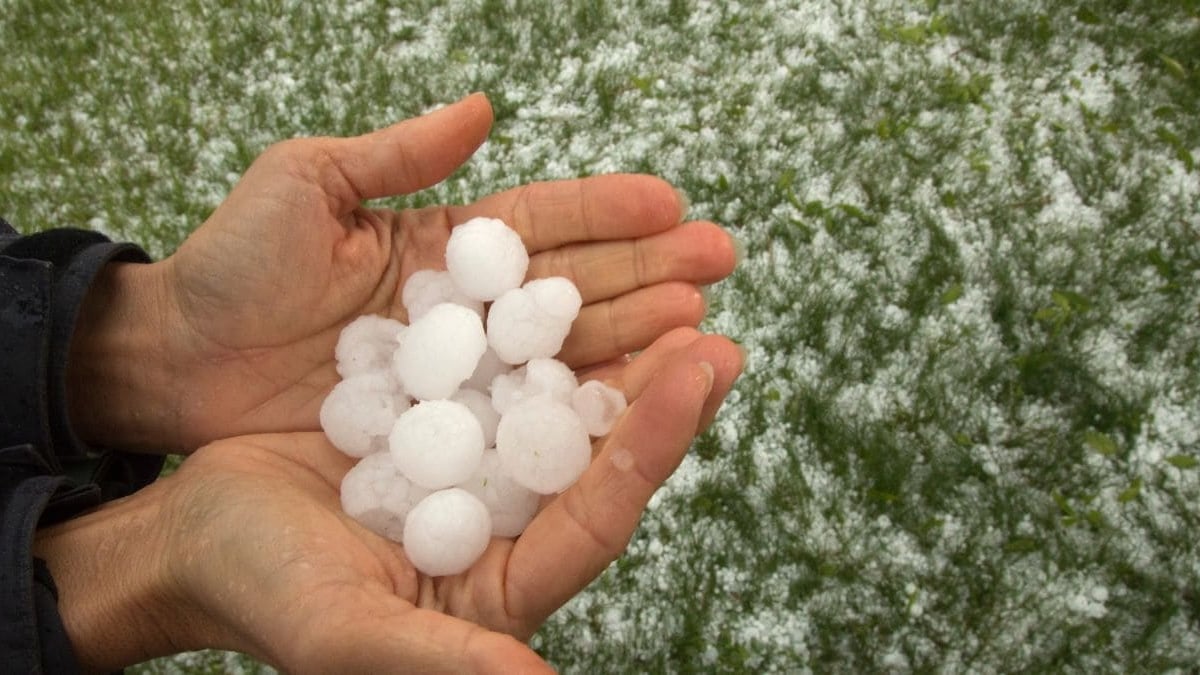 Seguro granizo Madrid