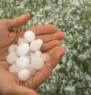 ¿Me cubre el seguro los daños por granizo?