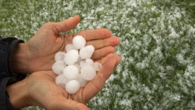 ¿Me cubre el seguro los daños por granizo?
