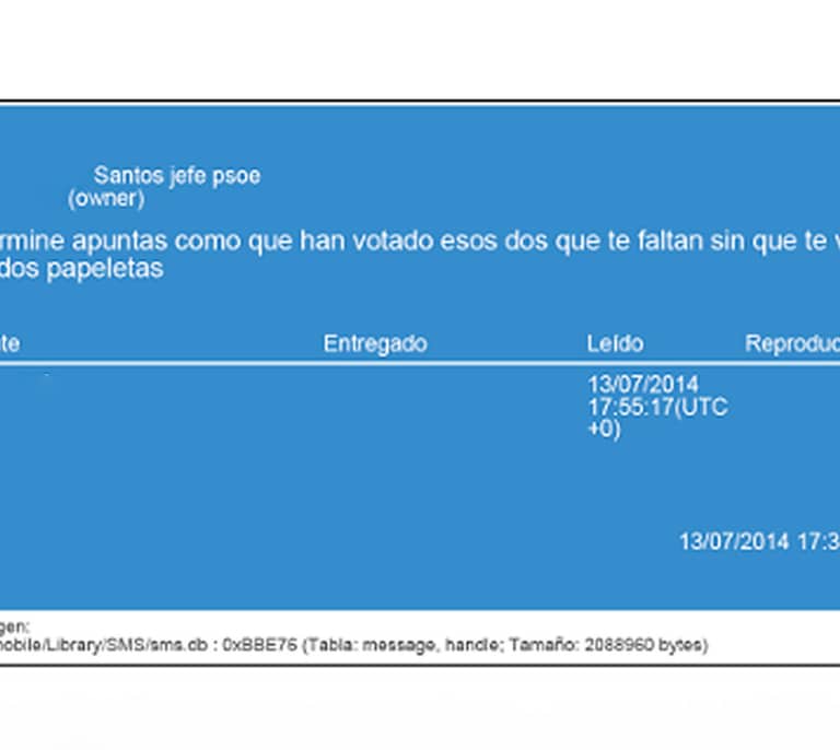 Santos Cerdán amañó las primarias del PSOE de 2014: "Apuntas como que esos 2 han votado y metes las papeletas"