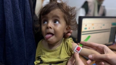 Más de un centenar de ONG alertan de la hambruna masiva en Gaza: "Salven vidas antes de que no quede ninguna por salvar"