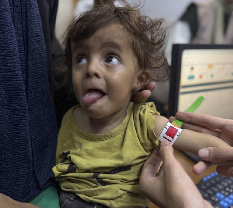 Más de un centenar de ONG alertan de la hambruna masiva en Gaza: "Salven vidas antes de que no quede ninguna por salvar"