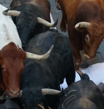 Los toros de Jandilla protagonizan un veloz quinto encierro y dejan cinco [...]