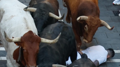 Los toros de Jandilla protagonizan un veloz quinto encierro y dejan cinco corredores en el hospital
