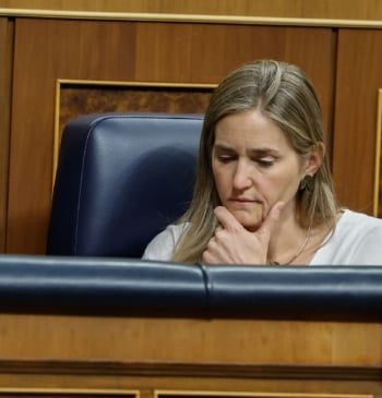 Los efectos del revés al Gobierno: inversiones eléctricas en el aire, bonificaciones [...]