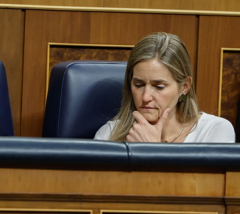 Los efectos del revés al Gobierno: inversiones eléctricas en el aire, bonificaciones perdidas, facturas de luz sin rebaja...