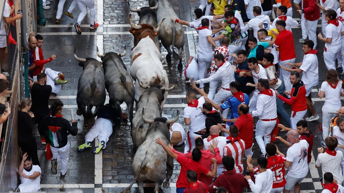 Un toro rezagado de José Escolar, único peligro del rápido sexto encierro de los Sanfermines