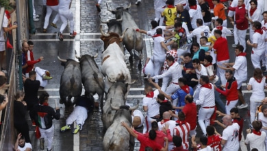 Un toro rezagado de José Escolar, único peligro del rápido sexto encierro de los Sanfermines
