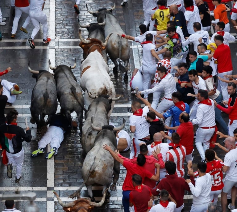 Un toro rezagado de José Escolar, único peligro del rápido sexto encierro de los Sanfermines