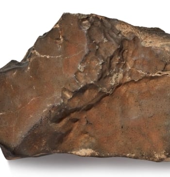 El meteorito más grande de Marte, a subasta en Nueva York: está [...]