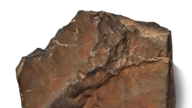 El meteorito más grande de Marte, a subasta en Nueva York: está valorado en 4 millones