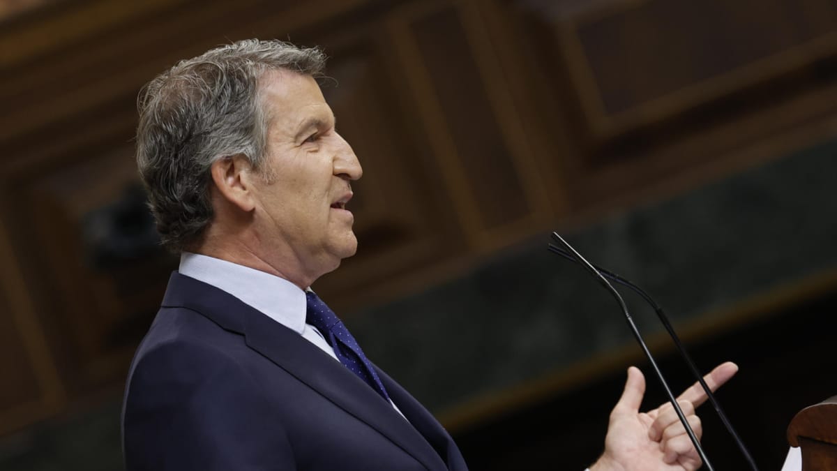 El líder del PP, Alberto Núñez Feijóo, interviene en el pleno en el Congreso de los Diputados este miércoles