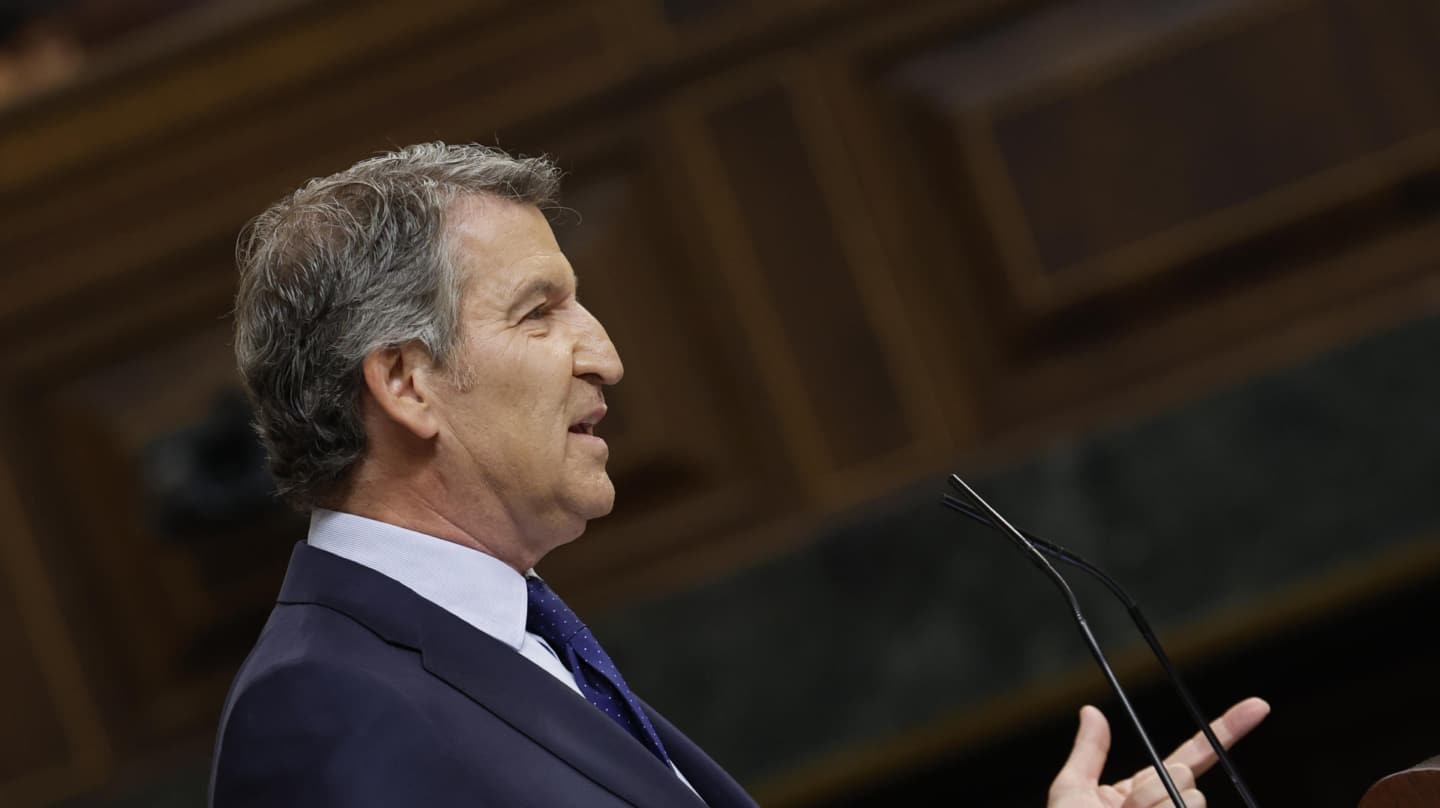 El líder del PP, Alberto Núñez Feijóo, interviene en el pleno en el Congreso de los Diputados este miércoles