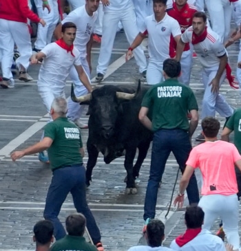 Un toro de Cebada Gago, Caminante, causa el pánico desde Estafeta a [...]