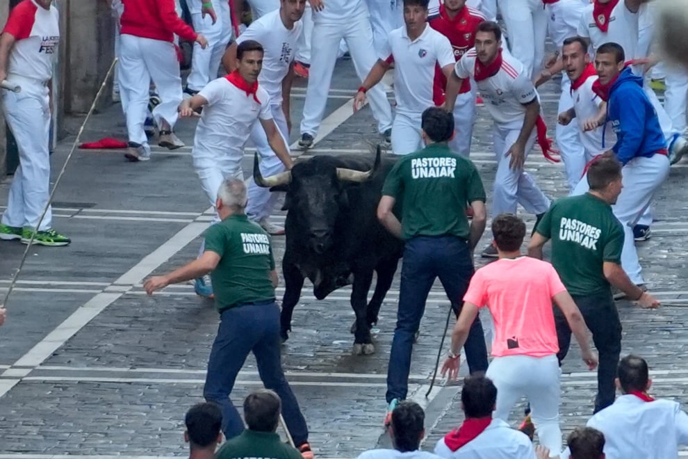Caminante, de Cebada Gago, en el segundo encierro de San Fermín.